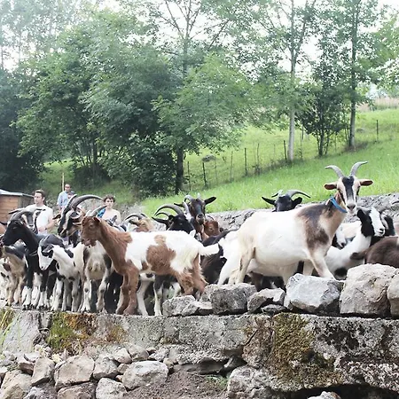 Ferienhaus Casa Cusau La Molina (Asturias)